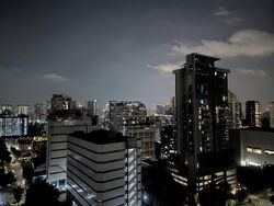 Neem Tree (D12), Apartment #585588811